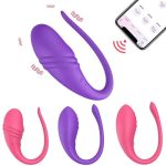 VIBRADOR  DARIAN CON APP - Imagen 5