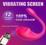 HUEVO VIB CON APP - Imagen 2