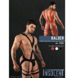 BOXER BALDER