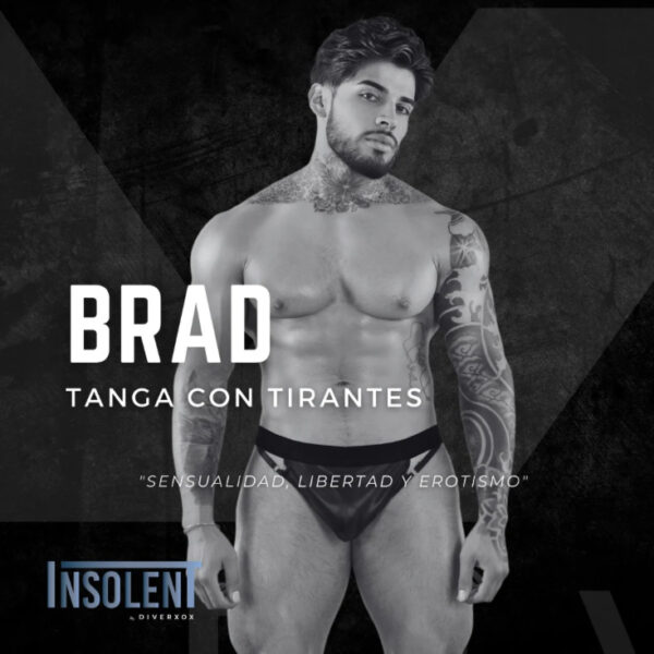 BOXER BRAD